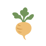 Maca Root